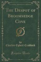 The Despot of Broomsedge Cove (Classic Reprint)