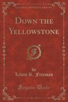 Down the Yellowstone (Classic Reprint)