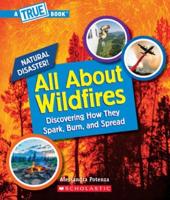 All About Wildfires