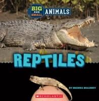 Big and Small: Reptiles (Wild World)