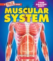 Muscular System