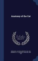 Anatomy of the Cat