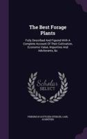 The Best Forage Plants
