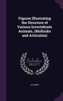 Figures Illustrating the Structure of Various Invertebrate Animals, (Mollusks and Articulata)