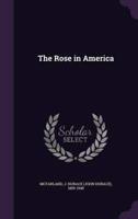 The Rose in America