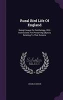 Rural Bird Life Of England