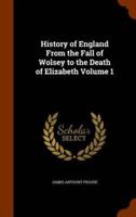 History of England From the Fall of Wolsey to the Death of Elizabeth Volume 1