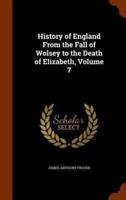 History of England From the Fall of Wolsey to the Death of Elizabeth, Volume 7