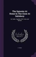 The Spinster At Home In The Close At Salisbury
