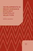 Developments in Mean-Variance Efficient Portfolio Selection