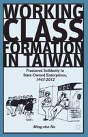Working Class Formation in Taiwan : Fractured Solidarity in State-Owned Enterprises, 1945-2012