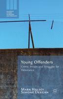 Young Offenders : Crime, Prison and Struggles for Desistance