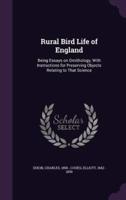 Rural Bird Life of England