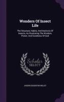 Wonders Of Insect Life