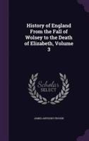 History of England From the Fall of Wolsey to the Death of Elizabeth, Volume 3