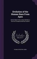 Evolution of the Human Race From Apes