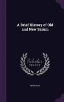 A Brief History of Old and New Sarum