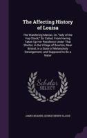 The Affecting History of Louisa
