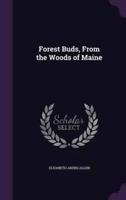 Forest Buds, From the Woods of Maine
