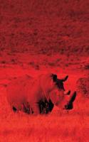 Alive! white rhino - Red dutotone - Photo Art Notebooks (5 x 8 series)