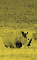 Alive! white rhino - Yellow duotone - Photo Art Notebooks (5 x 8 series)