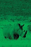 Alive! white rhino - Green duotone - Photo Art Notebooks (6 x 9 series)