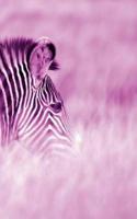 Alive! zebra stripes - Magenta duotone - Photo Art Notebooks (5 x 8 series)