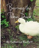 Barney the Pekin Duck