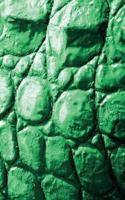 Alive! crocodile skin - Emerald duotone - Photo art notebooks (5 x 8 series)