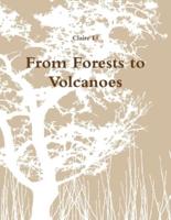 From Forests to Volcanoes