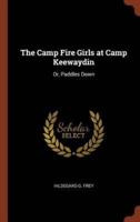 The Camp Fire Girls at Camp Keewaydin: Or, Paddles Down