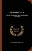 Socialism As It Is: A Survey of the World-Wide Revolutionary Movement