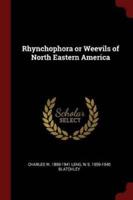 Rhynchophora or Weevils of North Eastern America