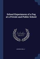 School Experiences of a Fag at a Private and Public School