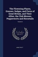 The Flowering Plants, Grasses, Sedges, and Ferns of Great Britain, and Their Allies, the Club Mosses, Pepperworts and Horsetails; Volume 6