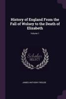 History of England From the Fall of Wolsey to the Death of Elizabeth; Volume 1