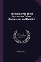 The Ant Larvae of the Myrmicine Tribes Basicerotini and Dacetini