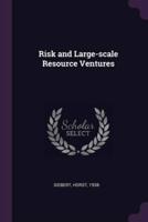 Risk and Large-Scale Resource Ventures