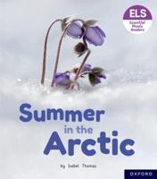 Summer in the Arctic