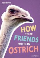 How to Be Friends With an Ostrich