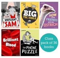 Readerful Rise: Oxford Reading Level 7: Class Pack