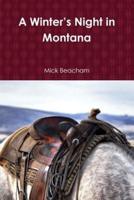 A Winter's Night in Montana
