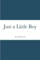 Just a Little Boy