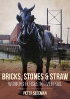 Bricks, Stones and Straw