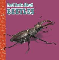 Fast Facts About Beetles
