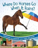 Where Do Horses Go When It Rains?