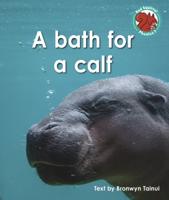 A Bath for a Calf