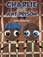 Ant Prison
