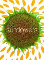 Sunflower Small Note Cards