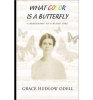 What Color Is a Butterfly?